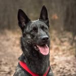 Floyd Goldenfloyd - @goldenfloyd - Instagram
