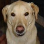 Floyd Goode - @floyd_goode - Instagram