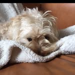 mr.k - @floyd_goodest - Instagram