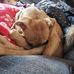 Floyd Goodrich - Facebook