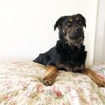 Floyd & Granger - @floyd_and_granger - Instagram