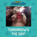 Floyd Greenlee - @floydgreenlee13 - Instagram
