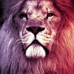Floyd - @floyd_grossett - Instagram