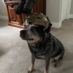 Floyd guenther - @guesswhoseback0 - Instagram