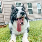 G U N Z - @gunner.floyd.shirley - Instagram