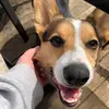 Floyd - @handsomeboyfloyd - TikTok