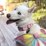 Floyd - @handsomefloydie - Instagram