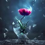 @floydhanson5764 - Instagram