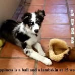 Floyd Harding - Facebook