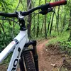 Floyd Harrell - @floyd.harrell0 - TikTok