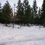 Floyd Hawkins - @floyd.hawkins - Instagram