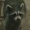 Floyd (Hayward) - @hayward6969 - TikTok