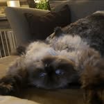 Floyd Hines - @tobb.shhetooth - Instagram