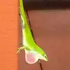 Floyd Holder - @floyd.holder3 - TikTok