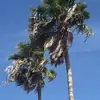 Floyd Holder - @floyd.holder8 - TikTok