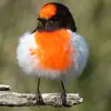 floyd holmes - @floyd.holmes1 - TikTok