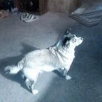 Floyd Holt - @floyd.holt.3388 - Instagram