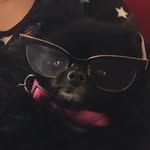 Stella Mooney - @homerfloyd - Instagram