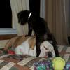 hoyt_and_floyd - @hoyt_and_floyd - TikTok