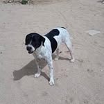 Floyd Hunter - @floydh810 - Instagram