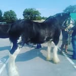 Floyd Hunter - @lynnzjo_4 - Instagram