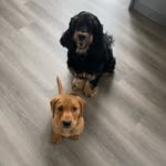 Floyd & Huntley - @floyd_huntley_adventures - Instagram