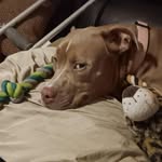Floyd Keith Koehn - @koehnfloyd - Instagram