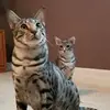 floydkeithconaway - @floydkeithconaway - TikTok