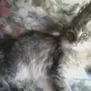 debbiefloydkidd - @debbiefloydkidd - TikTok