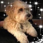 Kirby Floyd - @kirby.floyd.37 - Instagram