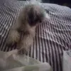 Floyd knowles - @floyd.knowles - TikTok