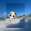 Flo Krause - @flo.krause - TikTok