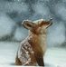 Floyd Langley - Facebook