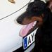 Floyd Fock-Lapp - Facebook