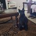 Floyd Lapp - Facebook