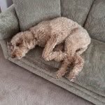 Floyd Marvel Laughlin - @floydlaughlin - Instagram