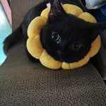 Floyd Law - @floz_ly - Instagram