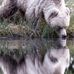 Floyd Lemke - Facebook