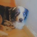 Floyd - @le__monde_de_floyd - Instagram