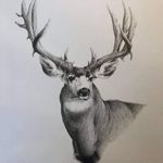 Floyd Leyba - @floydleyba - Instagram