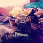 Floyd & Lloyd - @thefoenemtwins - Instagram