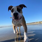Floyd lopez - @littlemans_floyd - Instagram