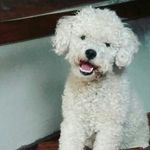 Pin Floyd López Navarro - @pinfloydlo - Instagram