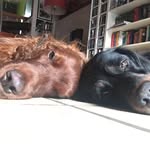 lottaundAaron - @aaronundlottaundfloyd - Instagram