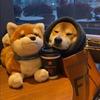 user5555523472001 - @lottfloyd470 - TikTok