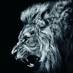 Floyd lyon57 - @floydlyon57 - Instagram