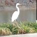 Doris Floyd Mann - Facebook