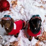 Floyd & Manny - @floyd_manny - Instagram