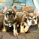 Manny and Floyd - @manny_n_floyd - Instagram