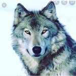 Floyd Marlow - @marlowfloyd - Instagram